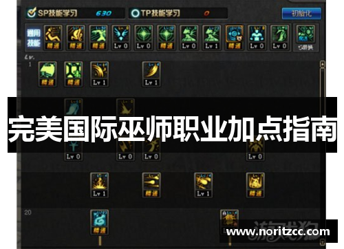 完美国际巫师职业加点指南